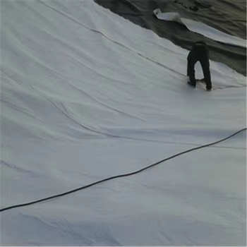 Geotextil PP de alta calidad