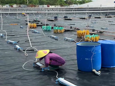 Revestimiento de estanque de geomembrana de HDPE