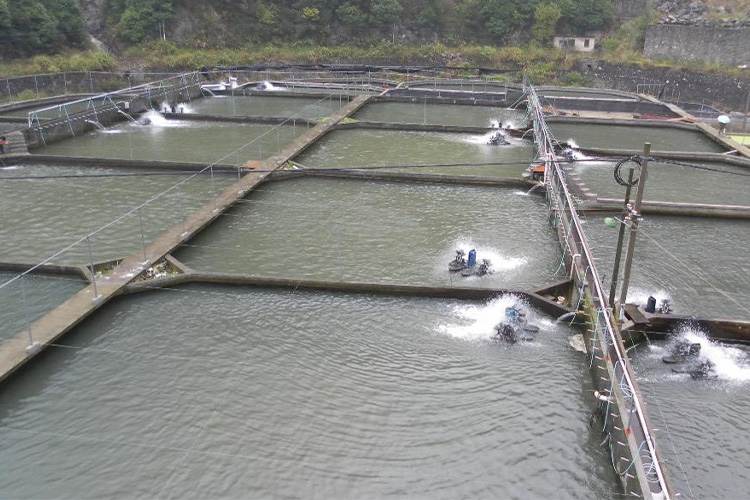 Geomembran Polietilen Kepadatan Tinggi Geomembran Polietilen Kepadatan Tinggi