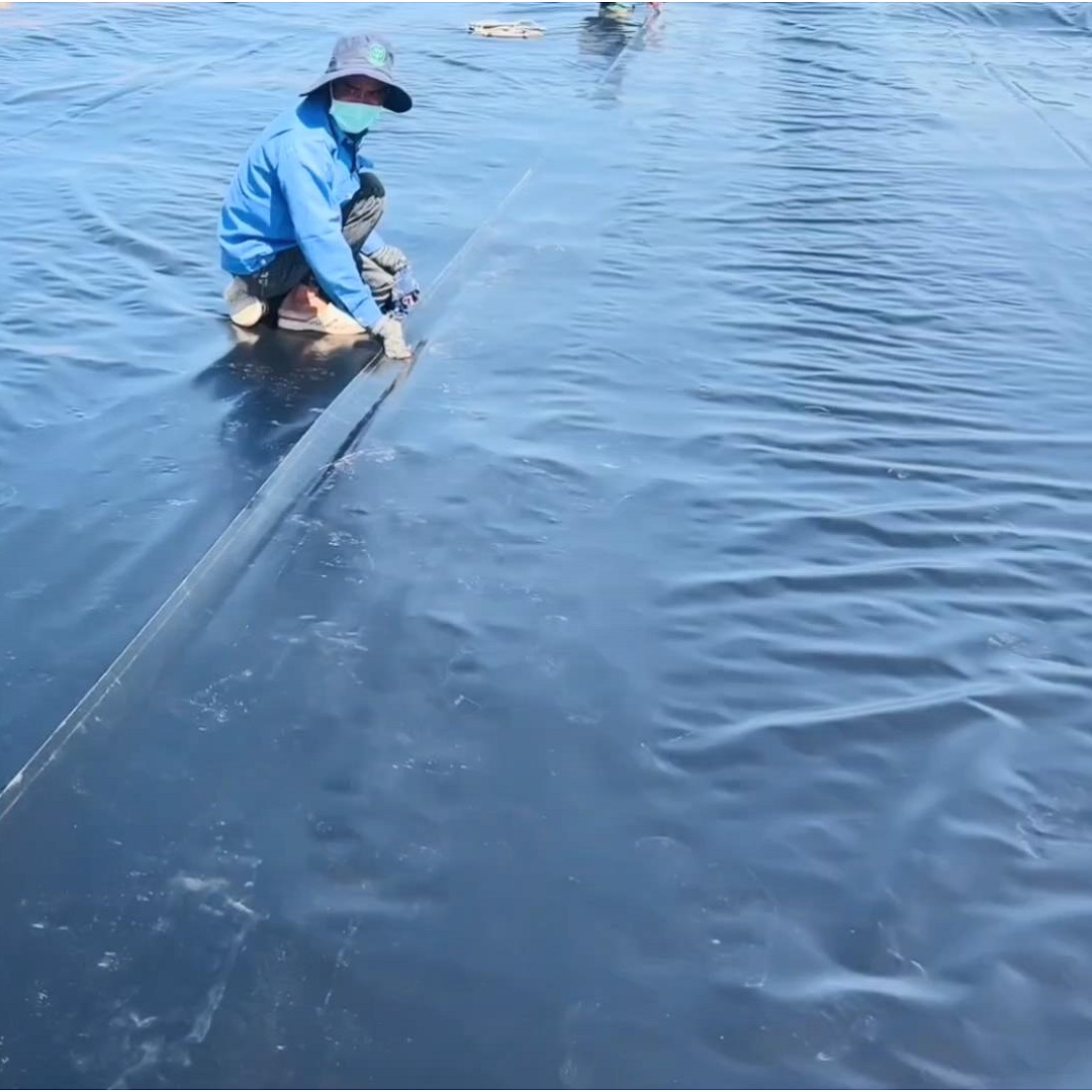 Revêtement de bassin