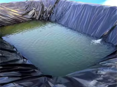 Geomembrana HDPE 2mm para Relleno Sanitario | Precio de Membrana Impermeable de Alta Calidad