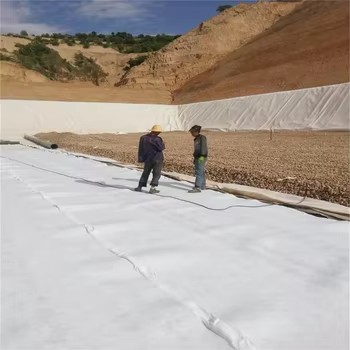 High Strength PP NonwovenGeotextile 