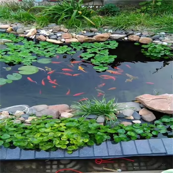 1767509104732009.png imagen.png