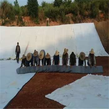 Geotekstil Polypropylene Non Woven