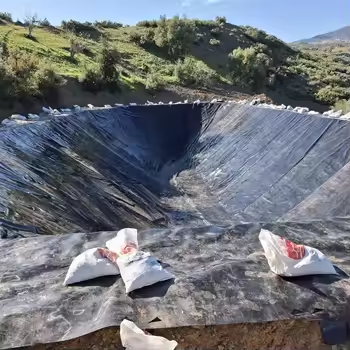 1765518381932304.png 5.png