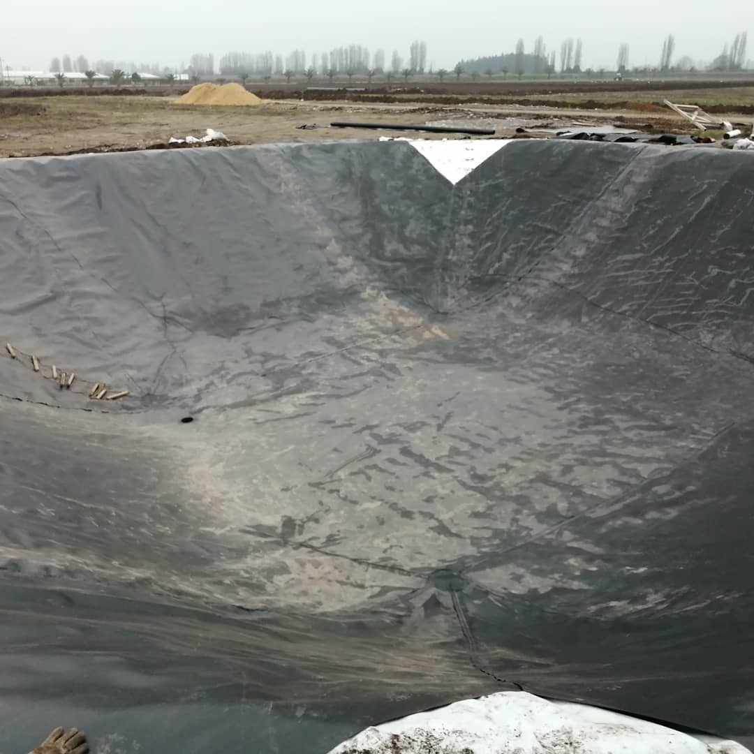 بطانة بركة من غشاء جيوميمبرين عالي الكثافة