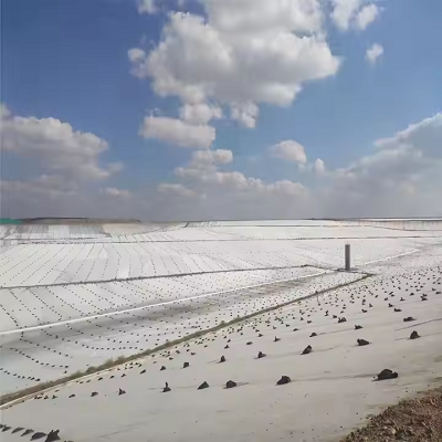 Geotekstil PET Bukan Tenunan