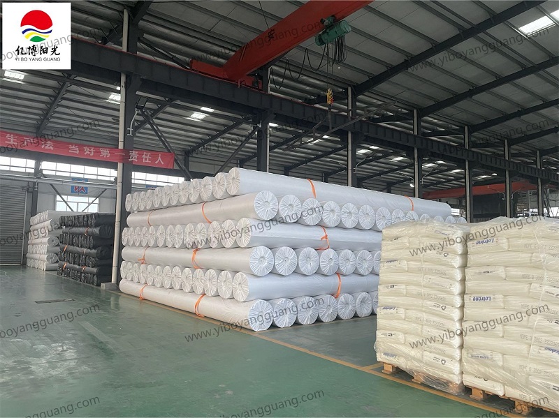 الأغشية الأرضية المصنوعة من مادة HDPE المزخرفة بسطح خشن