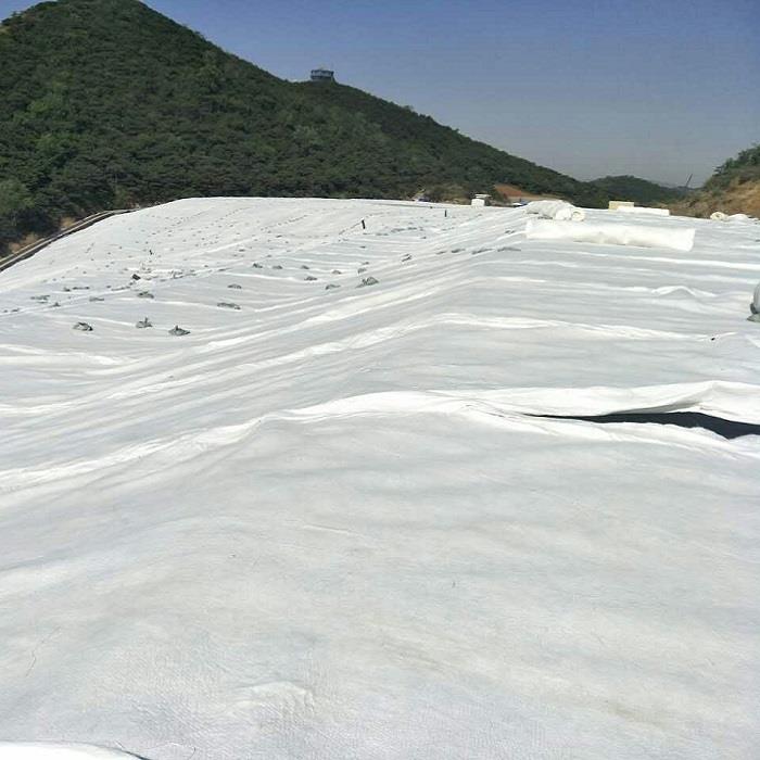 1747453760355176.jpg 1747453760355176.jpg