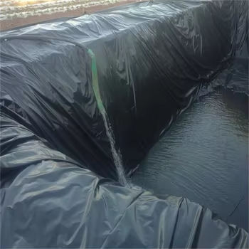 1767508290833951.png image.png