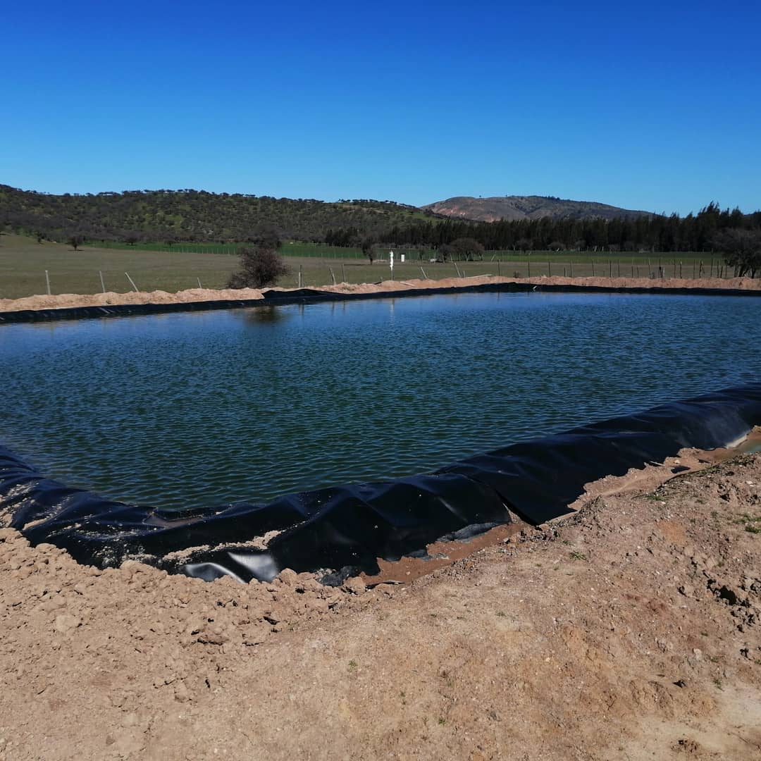 Rollo De Geomembrana Precio