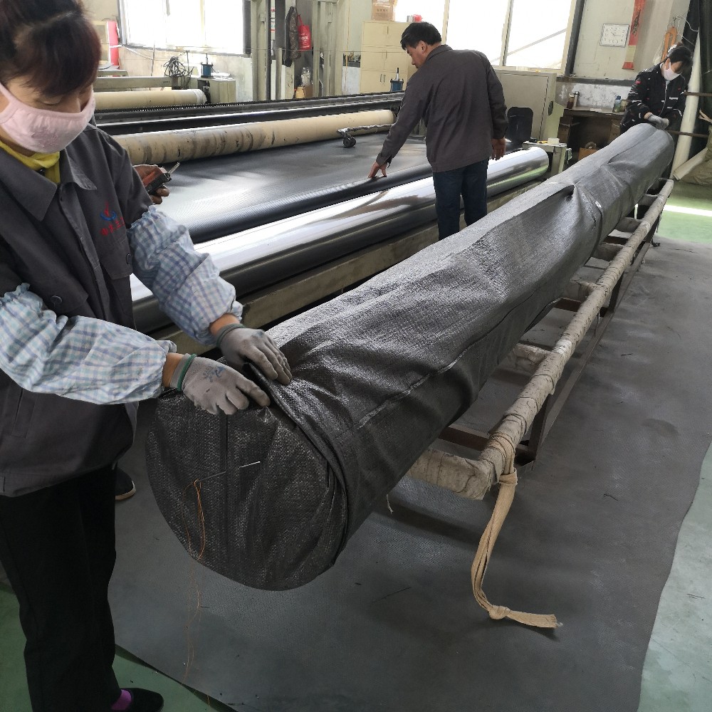 بطانة بركة من الجيوممبرين