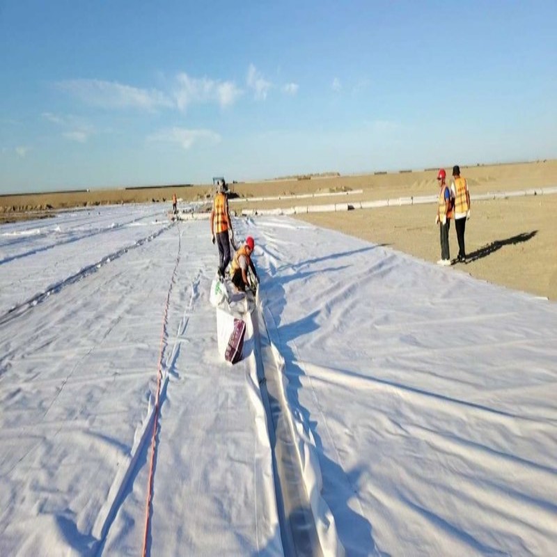 Projeto de Conservação da Água Utiliza Geomembrana Composta