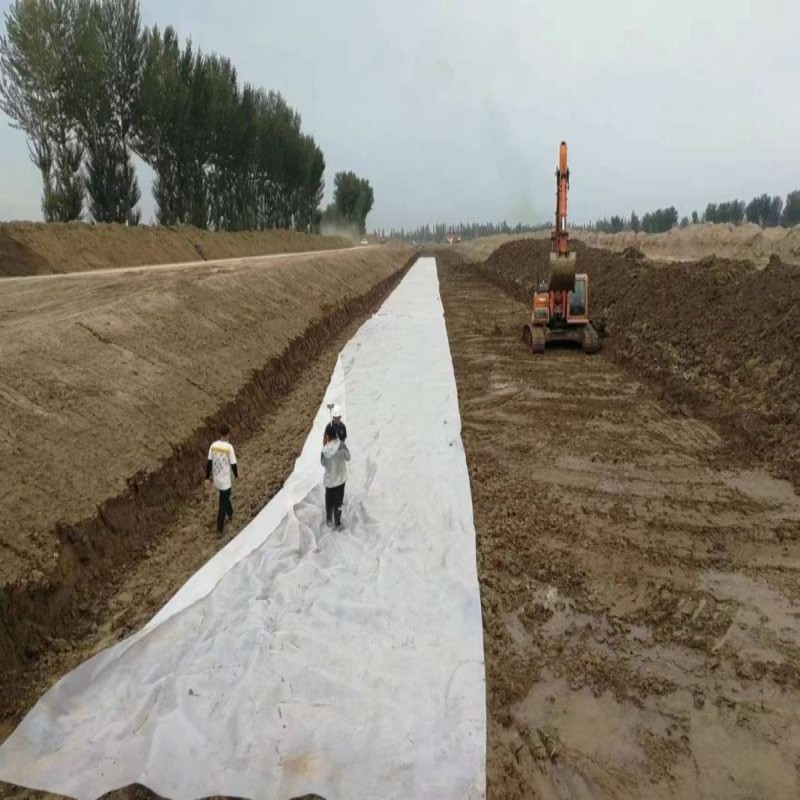 Màng địa kỹ thuật tổng hợp